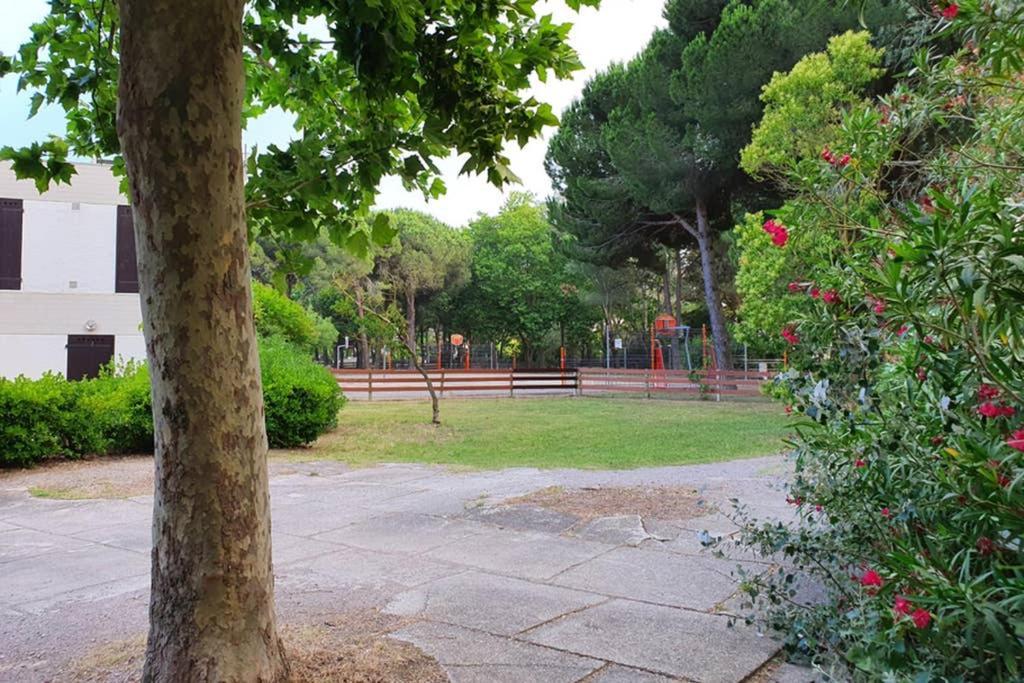 לה גרנד מוט Studio Cabines 6 Couchages 150 M De La Plage Et A Quelques Secondes Des Commerces Wifi Gratuit מראה חיצוני תמונה
